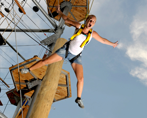Pamper Pole-1