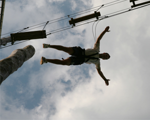 Pamper Pole-2